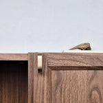 Brass cabinet pull on a wooden cabinet, adding elegance to modern furniture design.